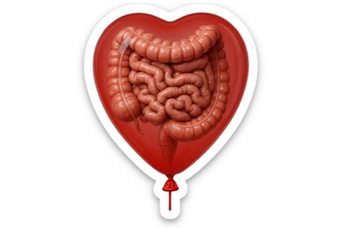 intestino umano anatomico chiuso in un palloncino rosso, iperrealistico 4k sticker