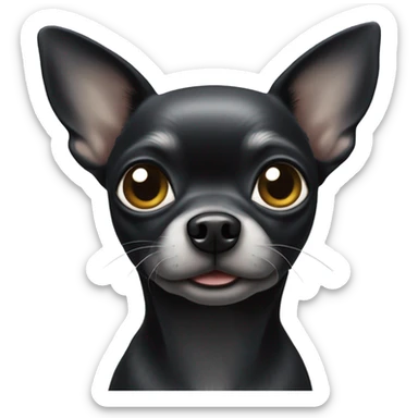 black chihuahua that is old and turning grey but cute sticker