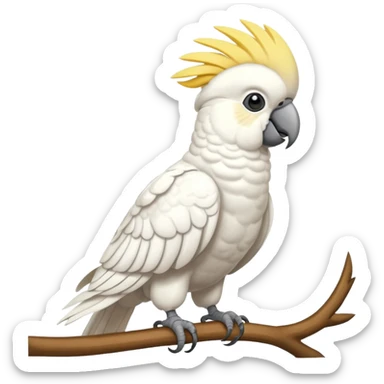 Cockatoo sticker