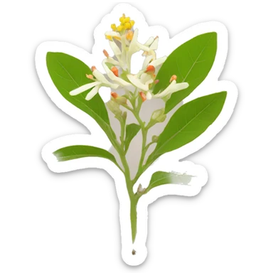 ashwagandha with flower sticker
