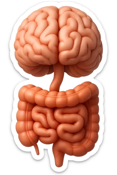 emoji stile iphone in 3d di cervello e intestino collegati verticalmente, iperrealistico 4k sticker