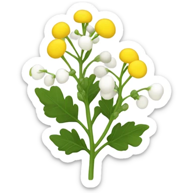 white mustard plant sticker