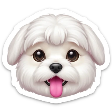 dog white maltesse sticker