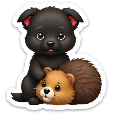 Small black dog with a toy beaver sticker