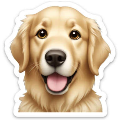 golden retriever coconut green sticker