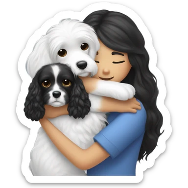 Black and white cavoodle getting hugged by long hair Asian girl sticker