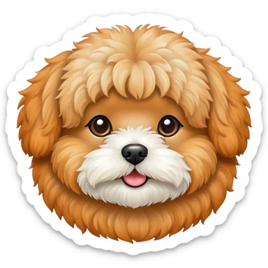 Maltipoo apricot sticker