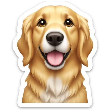 golden retriever with coconut sticker