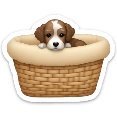 Little cute havapoo is sleeping in a beige dog basket sticker