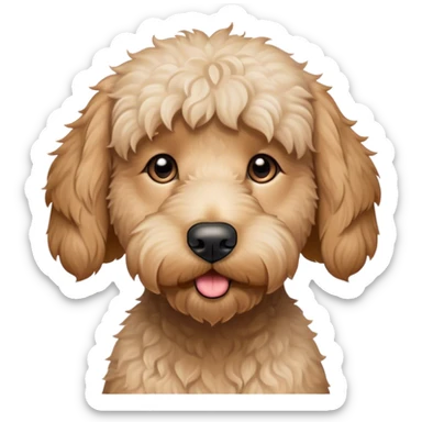anxious white goldendoodle sticker