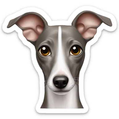 italian greyhound sticker