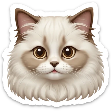 cinematic-adorable-big-eyed-fluffy-white brown-ragdoll-cat-portrait-emoji,-head-tilted-playfully-with-a-sweet-expression,-fluffy-brown seal colour with white-fur,-simplified-yet-irresistibly-cute-features-with-large,-expression, sticker