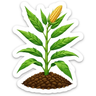 Cây bắp mọc trên đất sticker