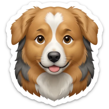 Australian Shepherd golden retriever tan eyebrows around nose and mouth black and grey fur on chest and everywhere else.  sticker