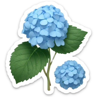 Light blue hydrangea sticker