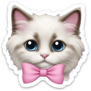 ragdoll kitten with pink bow sticker