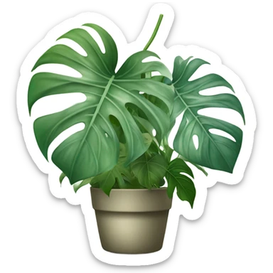 Monstera deliciosa Thai constellation  sticker