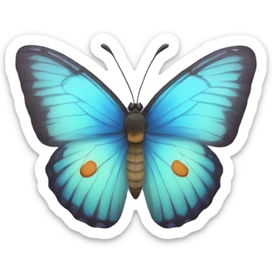 butterfly  sticker