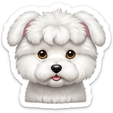 Bichon Frise dog with erect ears sticker