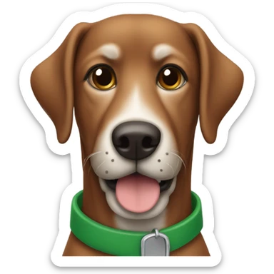 Brown dog with floppy ears, and a green collar and a brown nose and a gray beard sticker