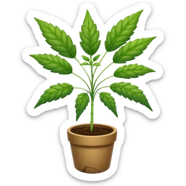 Weed plant sticker