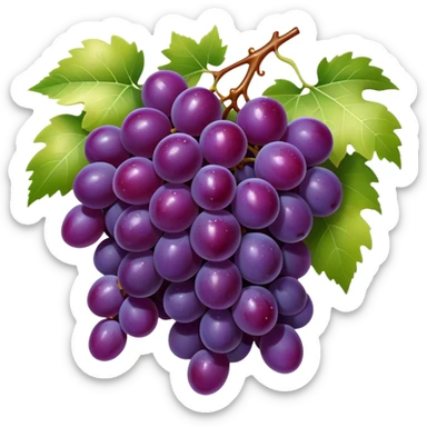 Cinematic glossy purple grapes, plump and dewy, gathered in a beautiful cluster, deep rich hues, ultra-detailed, fresh and juicy, soft glowing light. sticker