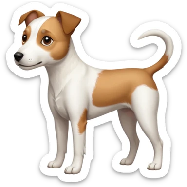 a full body slightly chubby white parson russell terrier looking dog the size of a kelpie with light brown long ears and a light brown patch on one eye and a large snout. the rest of the dog is completely white. forward facing sticker