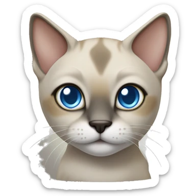 Thai breed adult cat with a light cream-brown body, dark gray nose and face, ears, and paws. sharp ears, and striking light blue eyes  sticker