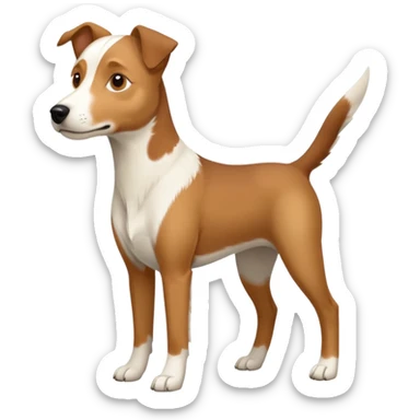 a full body large white parson russell looking dog the size of a kelpie with light brown flapped down ears and a light brown patch on one eye and a large snout sticker