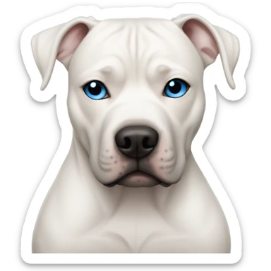 white bald man with blue eyes hugging dark grey no white pit bull sticker