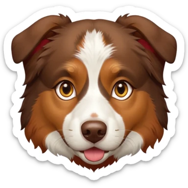 A tri color Australian shepherd with a chocolate brown base coat, red/gold fur on his eyebrows and snout/cheeks, a white chest, and gold eyes. No white on his face, only brown and gold. sticker