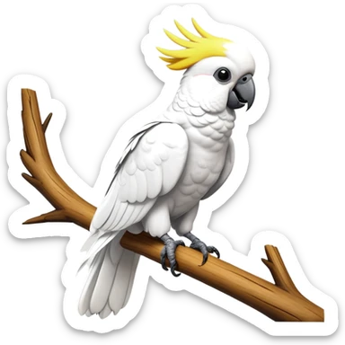cinematic-cockatoo-realistic-full-body-perched-emoji,-sleek-white-feathered-body-balanced-on-a-branch,-vibrant-yellow-crest-raised-in-expressive-alertness,-sharp-black-beak-slightly-open-as-if-mid-call,-piercing-dark-eyes-observing-with-cheeky-intelligence,-delicate-talons-gripping-the-wood-firmly,-simplified-yet-realistic-focused-features,-highly-detailed,-glowing-with-a-soft-sunlit-hue sticker