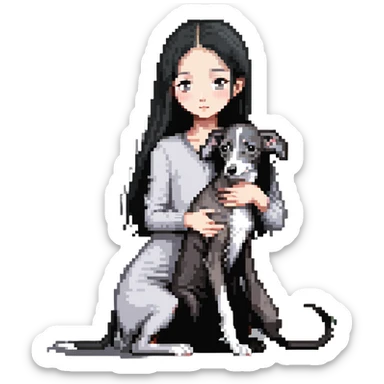 Slim Chinese girl with long black hair petting an Italian greyhound with completely uniform solid grey color throughout its entire body and face, with no white markings anywhere sticker
