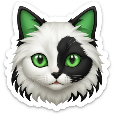 black and white long hair cat. green eyes. black nose. black splotch in the shape of a star near nose (on the right side). sticker