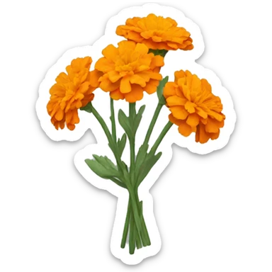 Orange marigold bouquet with three stems sticker