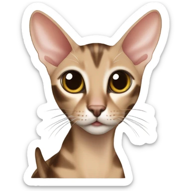 The Oriental Shorthair cat, brown with black stripes sticker