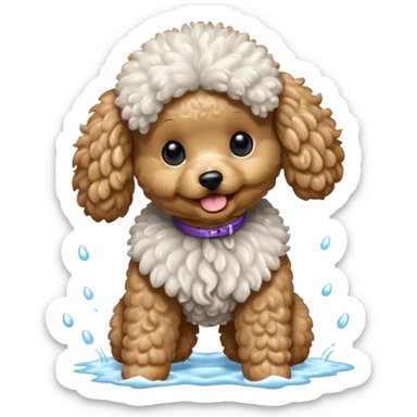 perrito caniche secando el pelo sticker
