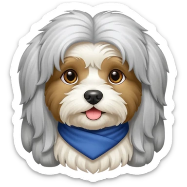 Black and white Havanese dog sticker