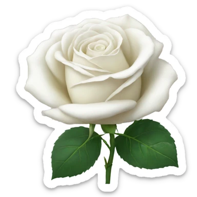 White rose  sticker