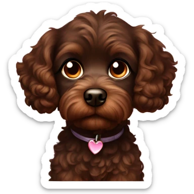 Dark brown Your Cavapoo looking up with big, eyes with sparkles or tiny hearts around the eyes to show how cute they are sticker