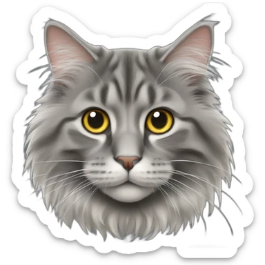 grey norwegian forest cat close up sticker
