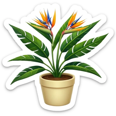 Bird of paradise leafy plant in cream pot no background sticker