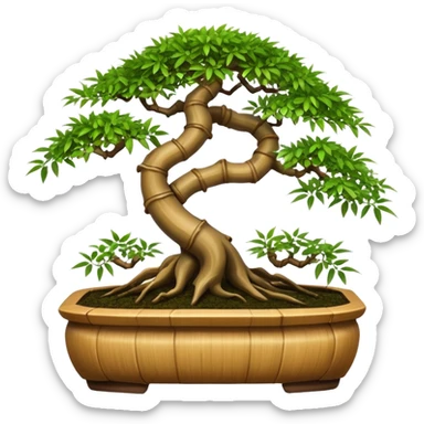 Twisted bamboo floor unit displaying bonsai plants(in shallow bonsai pots) because they have too many  sticker