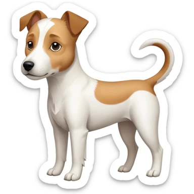 a full body slightly chubby white parson russell terrier looking dog the size of a kelpie with light brown long ears and a light brown patch on one eye and a large snout. the rest of the dog is completely whiteforward facing sticker