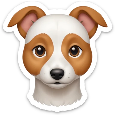 a fully white jack russell the size of a kelpie with light brown ears and a light brown patch on one eye sticker
