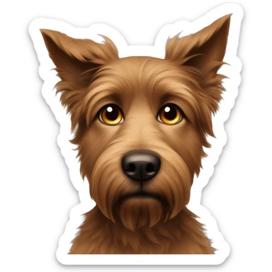 Scruffy brown medium sized dog with look into your soul human eyes sticker