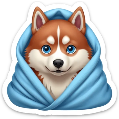 Red Siberian husky with blue eyes cozy in a blanket sticker