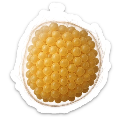 belly with adipose tissue highlighted, realistic 3D style, transparency effect to show adipocytes, scientific atmosphere sticker