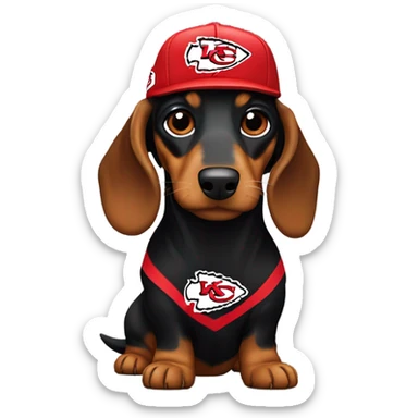 Long haired black and tan dachshund wearing chiefs gear sticker