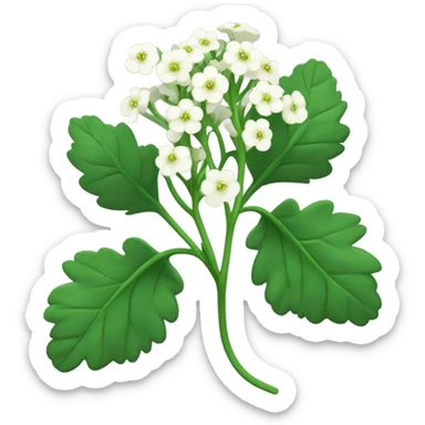 white mustard plant sticker